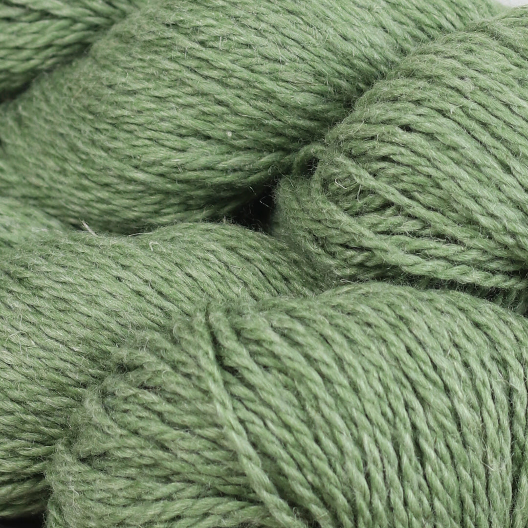 Fibre Company - Luma