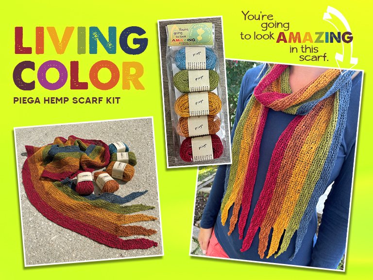 Living Color Scarf Kit from Beet Street